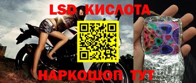 spice Краснознаменск
